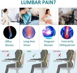 Lumbar Support Pillow for Office Chair Back Support Pillow for Car, Computer, Gaming Chair, Recliner Memory Foam Back Cushion for Pain Relief Improve Posture, Mesh Cover Double Adjustable Straps